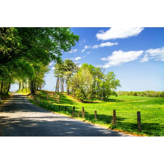 Gango Home Decor River Road by Alan Hausenflock (Printed on Paper); One 36x24in Fine Art Paper Giclee Print