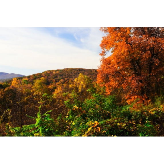 Gango Home Decor Rockfish Gap by Alan Hausenflock (Printed on Paper); One 36x24in Fine Art Paper Giclee Print