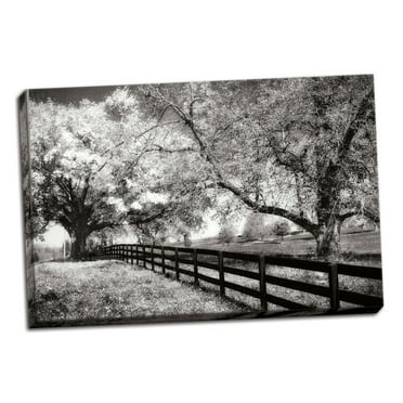 Gango Home Decor Rural Route 33 I by Alan Hausenflock (Ready to Hang); One 36x24in Hand-Stretched Canvas