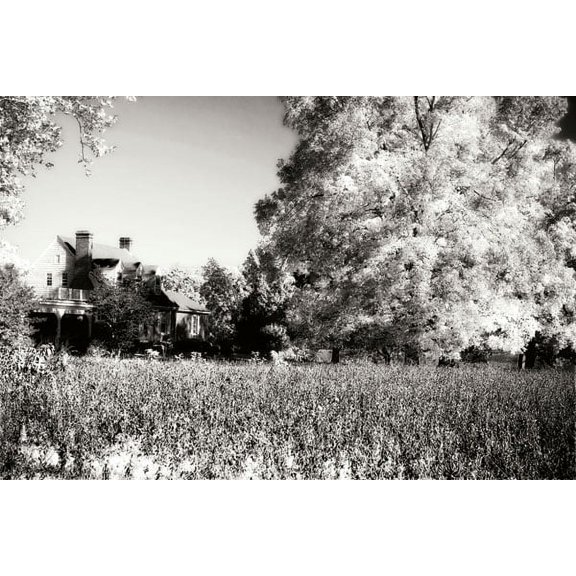 Gango Home Decor Rural Route 33 II by Alan Hausenflock (Printed on Paper); One 36x24in Fine Art Paper Giclee Print