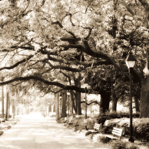Gango Home Decor Savannah Sepia Sq I by Alan Hausenflock (Printed on Paper); One 24x24in Fine Art Paper Giclee Print