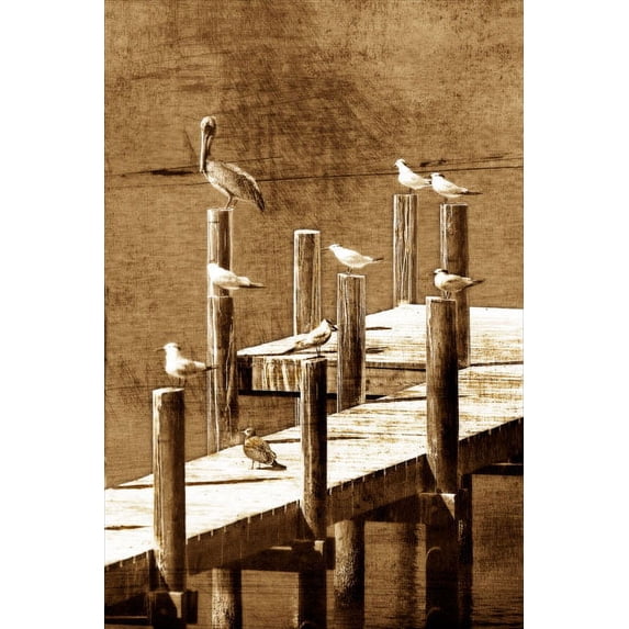 Gango Home Decor Sea Birds I by Alan Hausenflock (Printed on Paper); One 24x36in Fine Art Paper Giclee Print