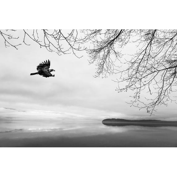 Gango Home Decor Seabeck Winter I by Kathy Mahan (Printed on Paper); One 36x24in Fine Art Paper Giclee Print