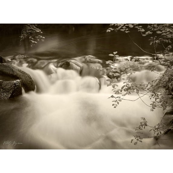 Gango Home Decor Sepia Waters IV by Vitaly Geyman (Printed on Paper); One 24x18in Fine Art Paper Giclee Print