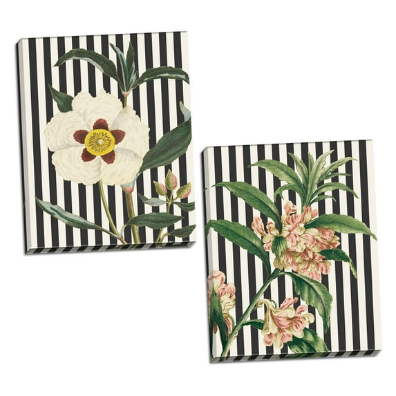 Gango Home Decor Shabby-Chic Herbal Botanical XXVI & XXVII Bold by Wild Apple Portfolio (Ready to Hang); Two 16x20in Hand-Stretched Canvases