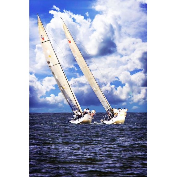 Gango Home Decor Side by Side by Alan Hausenflock (Printed on Paper); One 24x36in Fine Art Paper Giclee Print