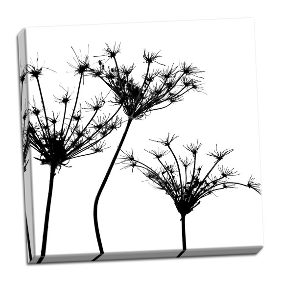Gango Home Decor Silhouette d’esprit III by Monika Burkhart (Ready to Hang); One 24x24in Hand-Stretched Canvas