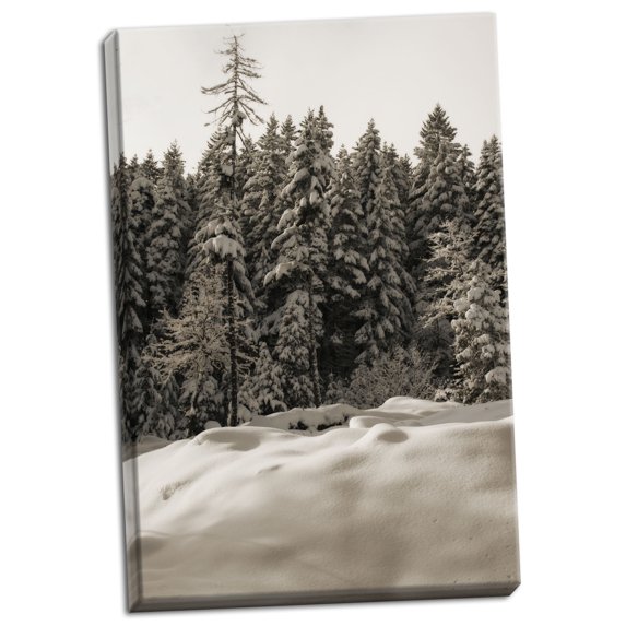 Gango Home Decor Snow Castle by Vitaly Geyman (Ready to Hang); One 24x36in Hand-Stretched Canvas