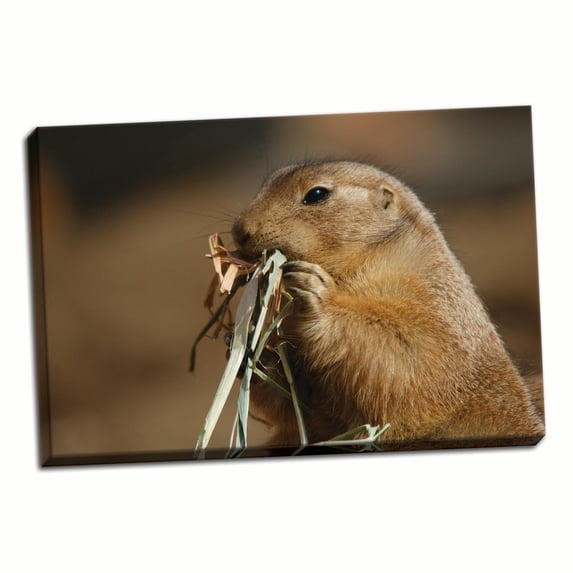 Gango Home Decor Soft Touch by Susann Parker (Ready to Hang); One 36x24in Hand-Stretched Canvas