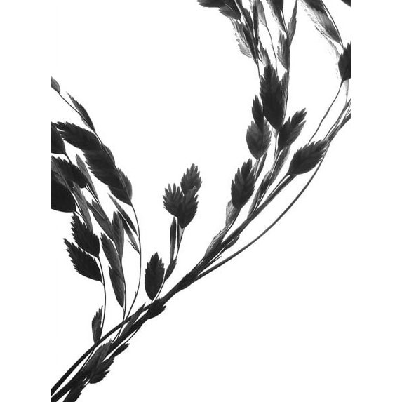 Gango Home Decor Soliloquy II by Monika Burkhart (Printed on Paper); One 18x24in Fine Art Paper Giclee Print