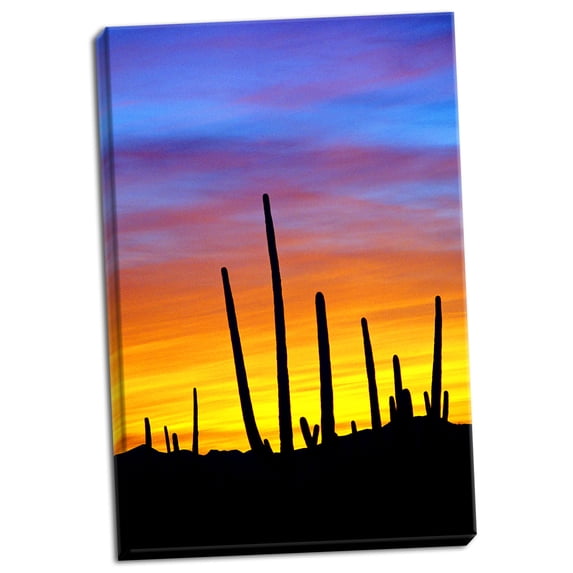 Gango Home Decor Solstice Sunset by Douglas Taylor (Ready to Hang); One 24x36in Hand-Stretched Canvas