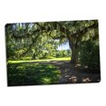 thumbnail image 1 of Gango Home Decor Spanish Moss II by Alan Hausenflock (Ready to Hang); One 36x24in Hand-Stretched Canvas, 1 of 4