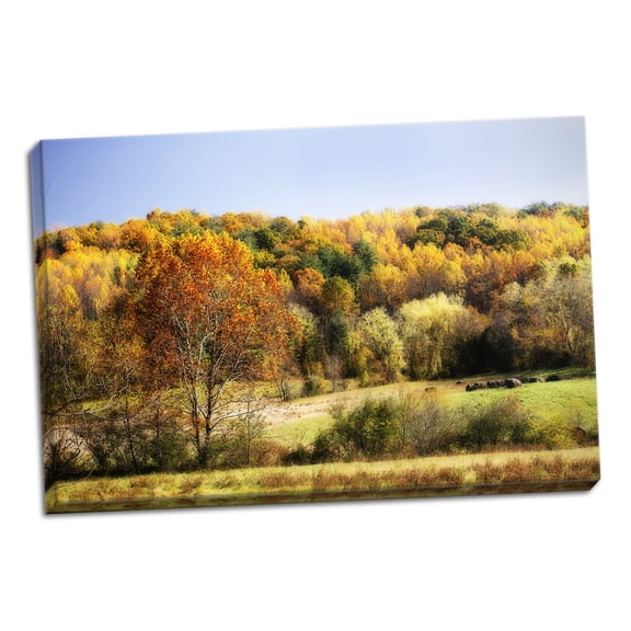 Gango Home Decor Sperryville Fields I by Alan Hausenflock (Ready to Hang); One 36x24in Hand-Stretched Canvas