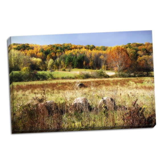 Gango Home Decor Sperryville Fields II by Alan Hausenflock (Ready to Hang); One 36x24in Hand-Stretched Canvas