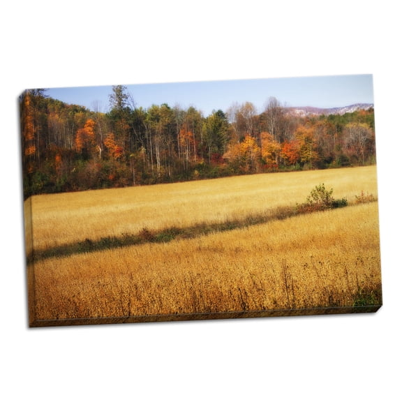 Gango Home Decor Sperryville Fields III by Alan Hausenflock (Ready to Hang); One 36x24in Hand-Stretched Canvas