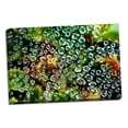 thumbnail image 1 of Gango Home Decor Spider Web Dew I by Erin Berzel (Ready to Hang); One 36x24in Hand-Stretched Canvas, 1 of 4
