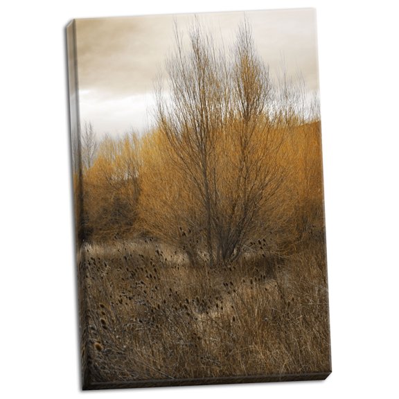 Gango Home Decor Spring Serenity I by Vitaly Geyman (Ready to Hang); One 24x36in Hand-Stretched Canvas