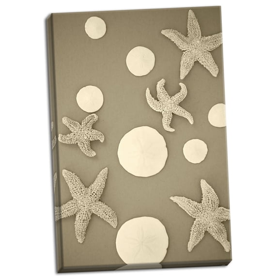 Gango Home Decor Starfish & Sand Dollars II by Karyn Millet (Ready to Hang); One 24x36in Hand-Stretched Canvas