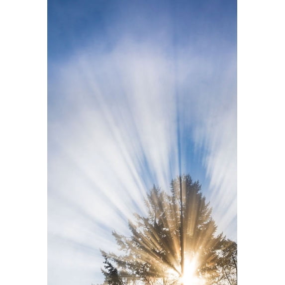 Gango Home Decor Sunburst I by Kathy Mahan (Printed on Paper); One 24x36in Fine Art Paper Giclee Print