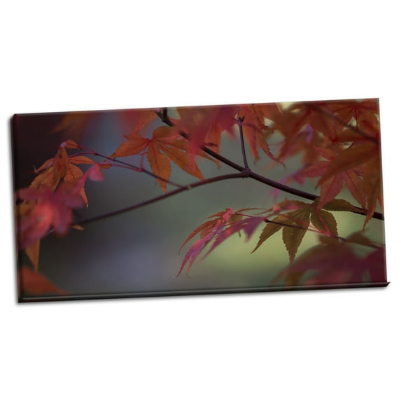 Gango Home Decor Sunlight Maple II by Rita Crane (Ready to Hang); One 36x18in Hand-Stretched Canvas