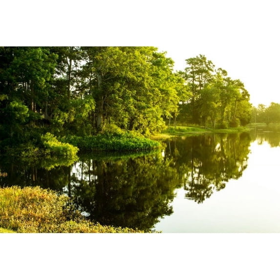 Gango Home Decor Sunrise On Green Lake II by Alan Hausenflock (Printed on Paper); One 36x24in Fine Art Paper Giclee Print