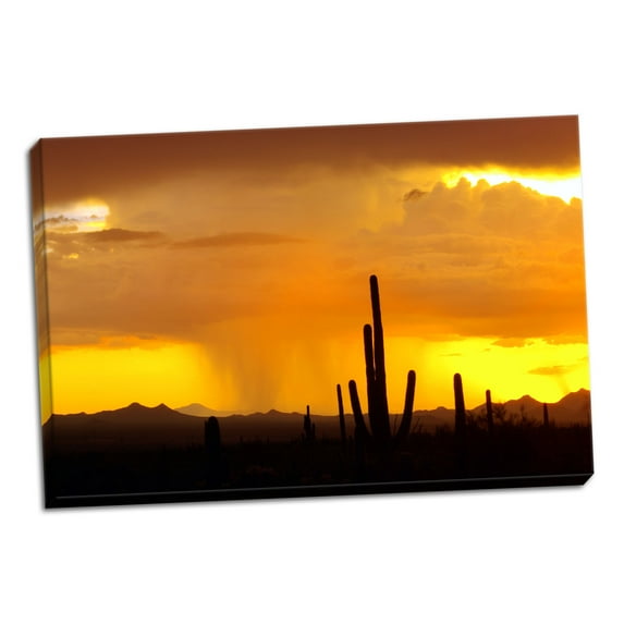 Gango Home Decor Sunset Rain by Douglas Taylor (Ready to Hang); One 36x24in Hand-Stretched Canvas