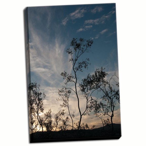 Gango Home Decor Sunset Silhouette III by Erin Berzel (Ready to Hang); One 24x36in Hand-Stretched Canvas