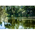 thumbnail image 1 of Gango Home Decor Swans II by Alan Hausenflock (Printed on Paper); One 36x24in Fine Art Paper Giclee Print, 1 of 4
