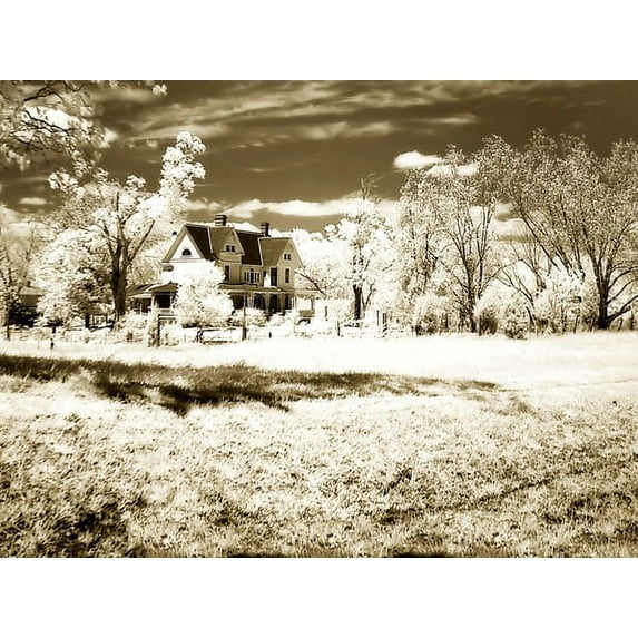 Gango Home Decor Swenson's House by Alan Hausenflock (Printed on Paper); One 24x18in Fine Art Paper Giclee Print