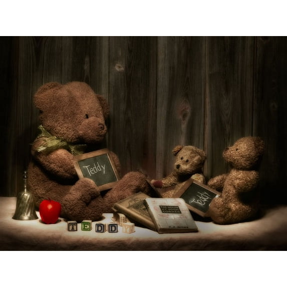 Gango Home Decor Teddybear School by C. Thomas McNemar (Printed on Paper); One 24x18in Fine Art Paper Giclee Print