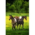 thumbnail image 1 of Gango Home Decor The Horses Three I by Alan Hausenflock (Printed on Paper); One 24x36in Fine Art Paper Giclee Print, 1 of 4