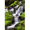 thumbnail image 1 of Gango Home Decor Trailside Waterfall II by Douglas Taylor (Printed on Paper); One 24x36in Fine Art Paper Giclee Print, 1 of 4