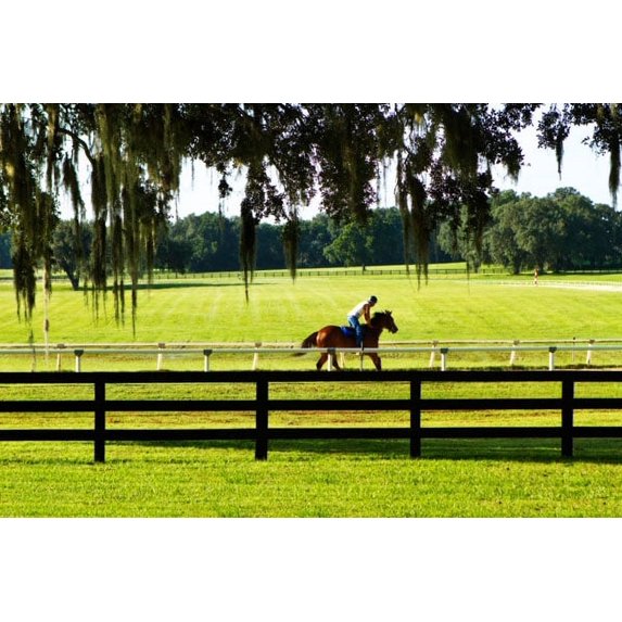 Gango Home Decor Training Day 1 by Alan Hausenflock (Printed on Paper); One 36x24in Fine Art Paper Giclee Print