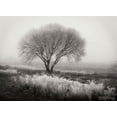 thumbnail image 1 of Gango Home Decor Tranquility I B&W by Vitaly Geyman (Printed on Paper); One 24x18in Fine Art Paper Giclee Print, 1 of 4