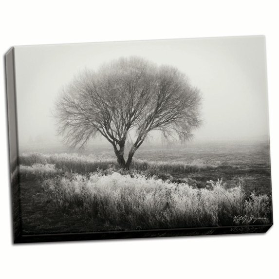 Gango Home Decor Tranquility I B&W by Vitaly Geyman (Ready to Hang); One 24x18in Hand-Stretched Canvas