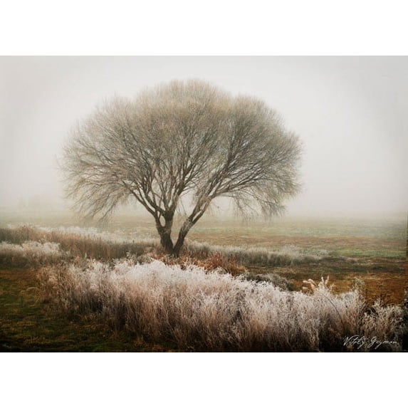 Gango Home Decor Tranquility I by Vitaly Geyman (Printed on Paper); One 24x18in Fine Art Paper Giclee Print