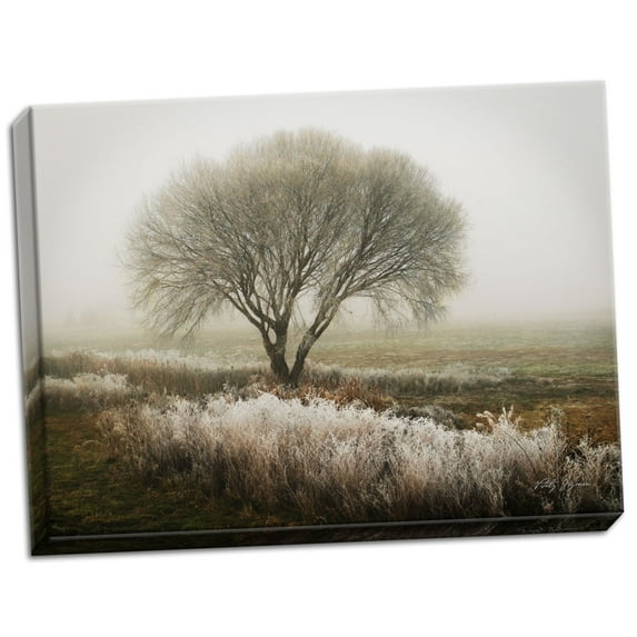 Gango Home Decor Tranquility I by Vitaly Geyman (Ready to Hang); One 24x18in Hand-Stretched Canvas