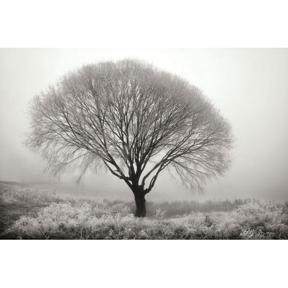 Gango Home Decor Tranquility II B&W by Vitaly Geyman (Printed on Paper); One 36x24in Fine Art Paper Giclee Print