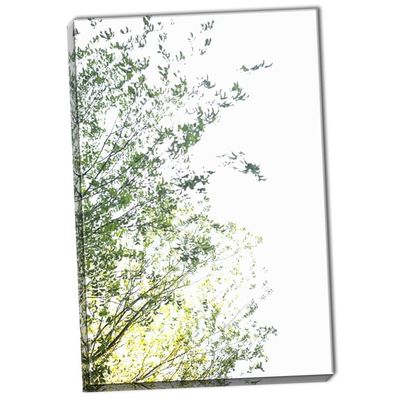 Gango Home Decor Trees I by Karyn Millet (Ready to Hang); One 24x36in Hand-Stretched Canvas