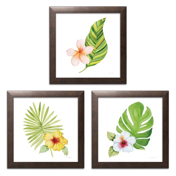 Gango Home Decor Tropical Treasures of the Tropics VIII, XI, & XI by Kathleen Parr McKenna (Ready to Hang); Three 12x12in Brown Framed Prints