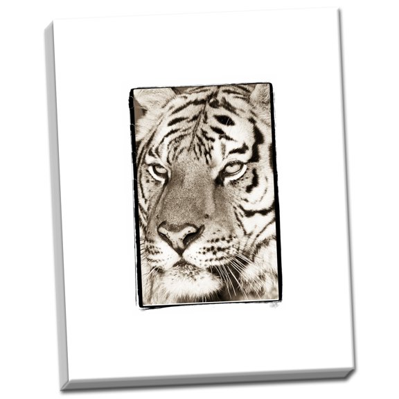 Gango Home Decor True 2 by Susann Parker (Ready to Hang); One 22x28in Hand-Stretched Canvas
