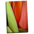 thumbnail image 1 of Gango Home Decor Tulip Detail I by Lee Peterson (Ready to Hang); One 24x36in Hand-Stretched Canvas, 1 of 4