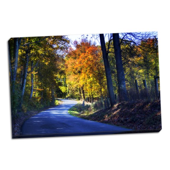 Gango Home Decor Twisting Autumn Road I by Alan Hausenflock (Ready to Hang); One 36x24in Hand-Stretched Canvas