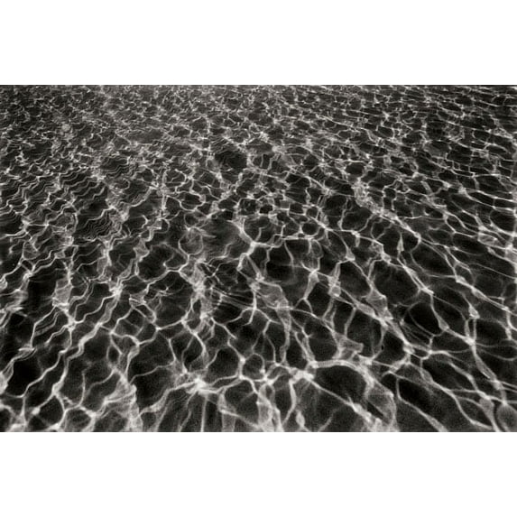 Gango Home Decor Underwater 1 by Lee Peterson (Printed on Paper); One 36x24in Fine Art Paper Giclee Print
