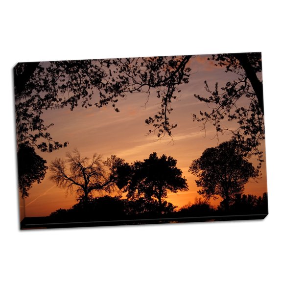 Gango Home Decor Unity Sunset by Tammy Putman (Ready to Hang); One 36x24in Hand-Stretched Canvas