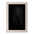 thumbnail image 1 of Gango Home Decor Vertical Black Pearl by PhotoINC Studio (Ready to Hang); One 12x18in Distressed Framed Print, 1 of 3