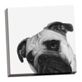 thumbnail image 1 of Gango Home Decor Vertical Que Pasa? by Jon Bertelli (Ready to Hang); One 16x16in Hand-Stretched Canvas, 1 of 3