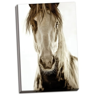Gango Home Decor Vertical Wilbur Cruz by Lisa Dearing (Ready to Hang); One 12x18in Hand-Stretched Canvas