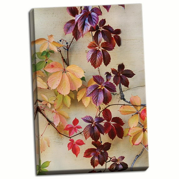 Gango Home Decor Vine Leaf Romance I by Vitaly Geyman (Ready to Hang); One 24x36in Hand-Stretched Canvas