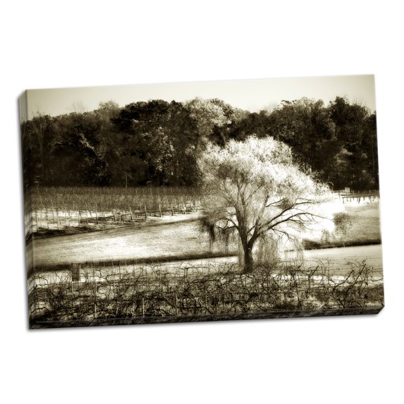 Gango Home Decor Vineyard I by Alan Hausenflock (Ready to Hang); One 36x24in Hand-Stretched Canvas
